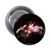 lis #15 d'astronome badges avec agrafe