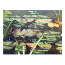 lis cartes postales