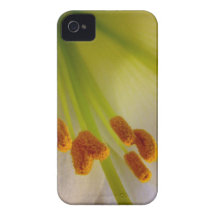 Lis de Pâques Coques Case-Mate iPhone 4