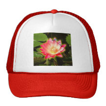 Lis et libellule rouges casquettes