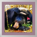 Lis l'ours noir avec l'affiche de rubans