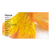 Lis orange cartes de visite personnelles