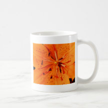 Lis Tasses À Café