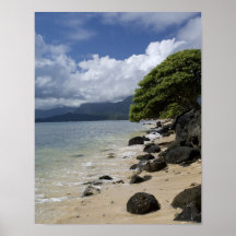 Littoral hawaïen posters