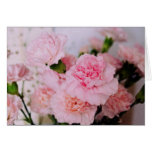 l'oeillet rose fleurit la photographie vintage de  cartes de vœux