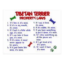 Lois 2 de propriété de TERRIER TIBÉTAIN Carte Postale