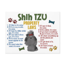 Lois 4 de propriété de Shih Tzu