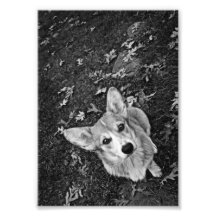 Lola03BW.png Impression Photographique