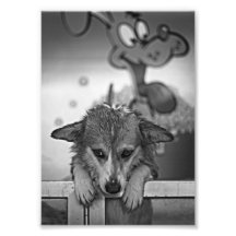 Lola04BW.png Photos D’art