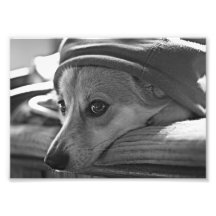 Lola05BW.png Photos