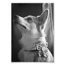 Lola06BW.png Impression Photo