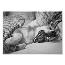 Lola07BW.png Photo Sur Toile