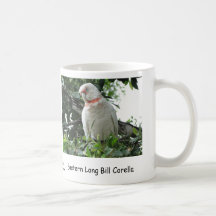 Long Bill oriental Corella Mugs À Café