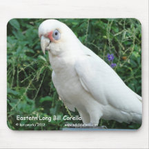 Long Bill oriental Corella Tapis De Souris