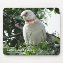 Long Bill oriental Corella Tapis De Souris