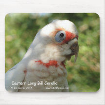Long Bill oriental Corella Tapis De Souris