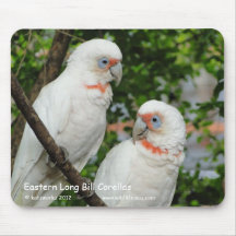 Long Bill oriental Corellas Tapis De Souris
