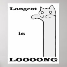 Longcat est long affiche