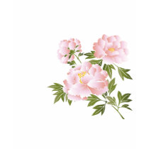 Longs T-shirts de douille de dames roses de pivoin