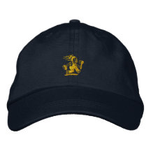 Loodgieter in een haast baseball cap