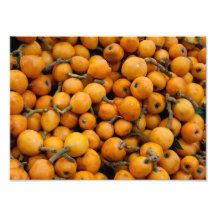 Loquats organiques frais photos sur toile