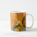 L'orange s'est levée DSC3450 Mugs À Café