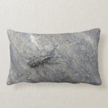 L'OREILLER D'INSECTE