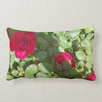 L'oreiller rose de l'anglais rouge oreillers american