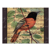 Loriot vintage sur la vieille musique art photographique