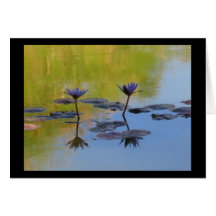 Lotus Wenskaarten