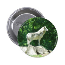 Loup Badges Avec Agrafe