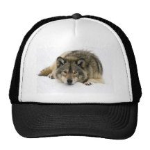 Loup Casquette