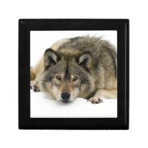 Loup Coffrets Cadeaux