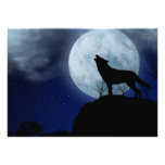 Loup de pleine lune faire-parts