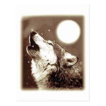 Loup d'hurlement carte postale