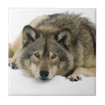 Loup Geboortetegeltjes