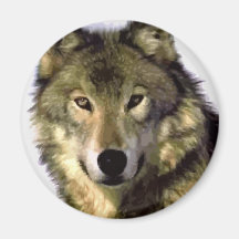 Loup gris aimants pour réfrigérateur