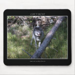 LOUP GRIS Mousepad Tapis De Souris