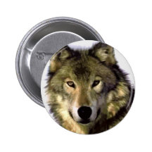 Loup gris pin's avec agrafe