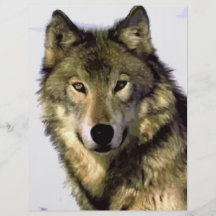 Loup gris tract personnalisé