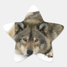 Loup Stervormige Sticker