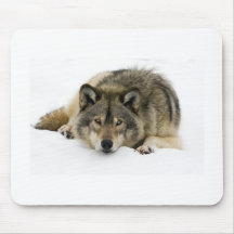 Loup Tapis De Souris