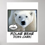 L'ours blanc s'inquiète ! affiche