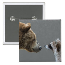 L'ours grisonnant rencontre le raton laveur badge