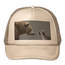 L'ours grisonnant rencontre le raton laveur casquette de camionneur