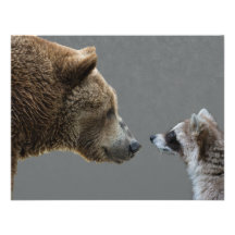 L'ours grisonnant rencontre le raton laveur carton d'invitation