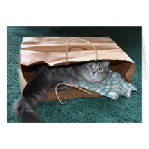 L'Outa du chat le sac… Carte De Vœux