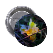 Lueur de Linaria Pin's