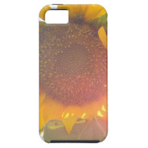 Lumière de tournesol coque iPhone 5