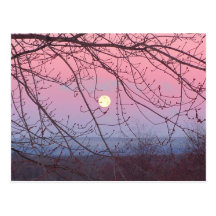 lune derrière des arbres cartes postales